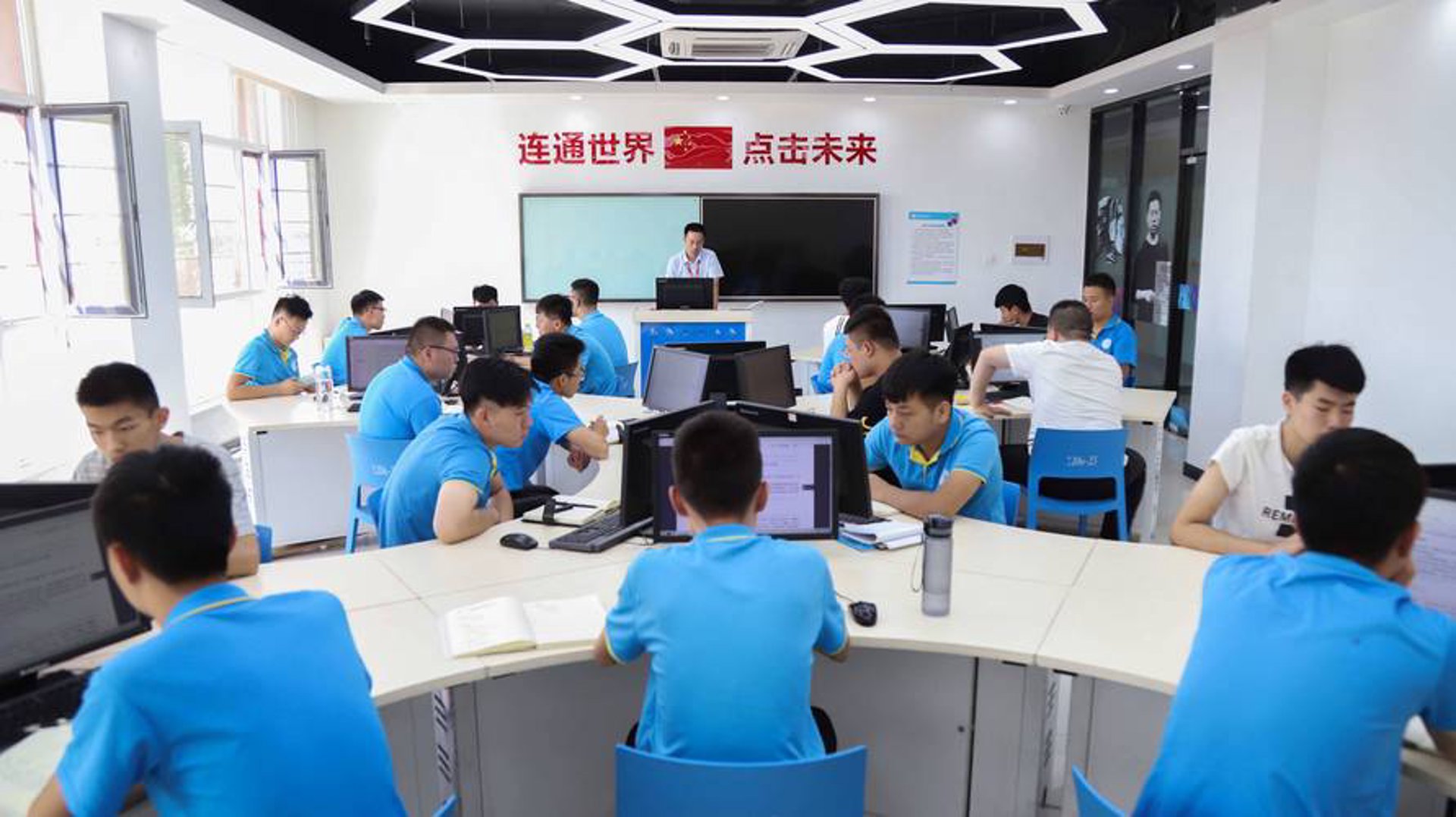 泰域网络科技